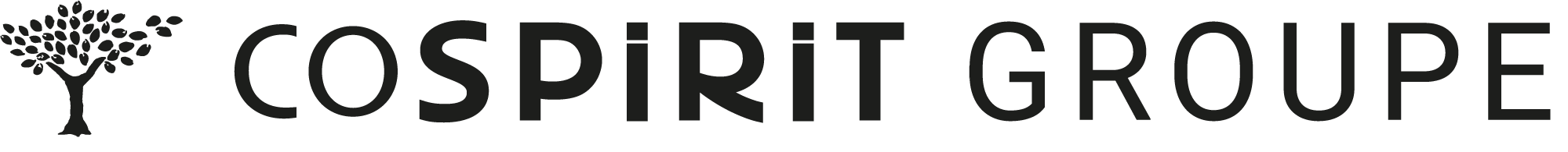 COSPIRIT GROUPE logo