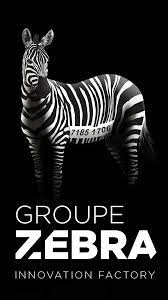 GROUPE ZEBRA logo