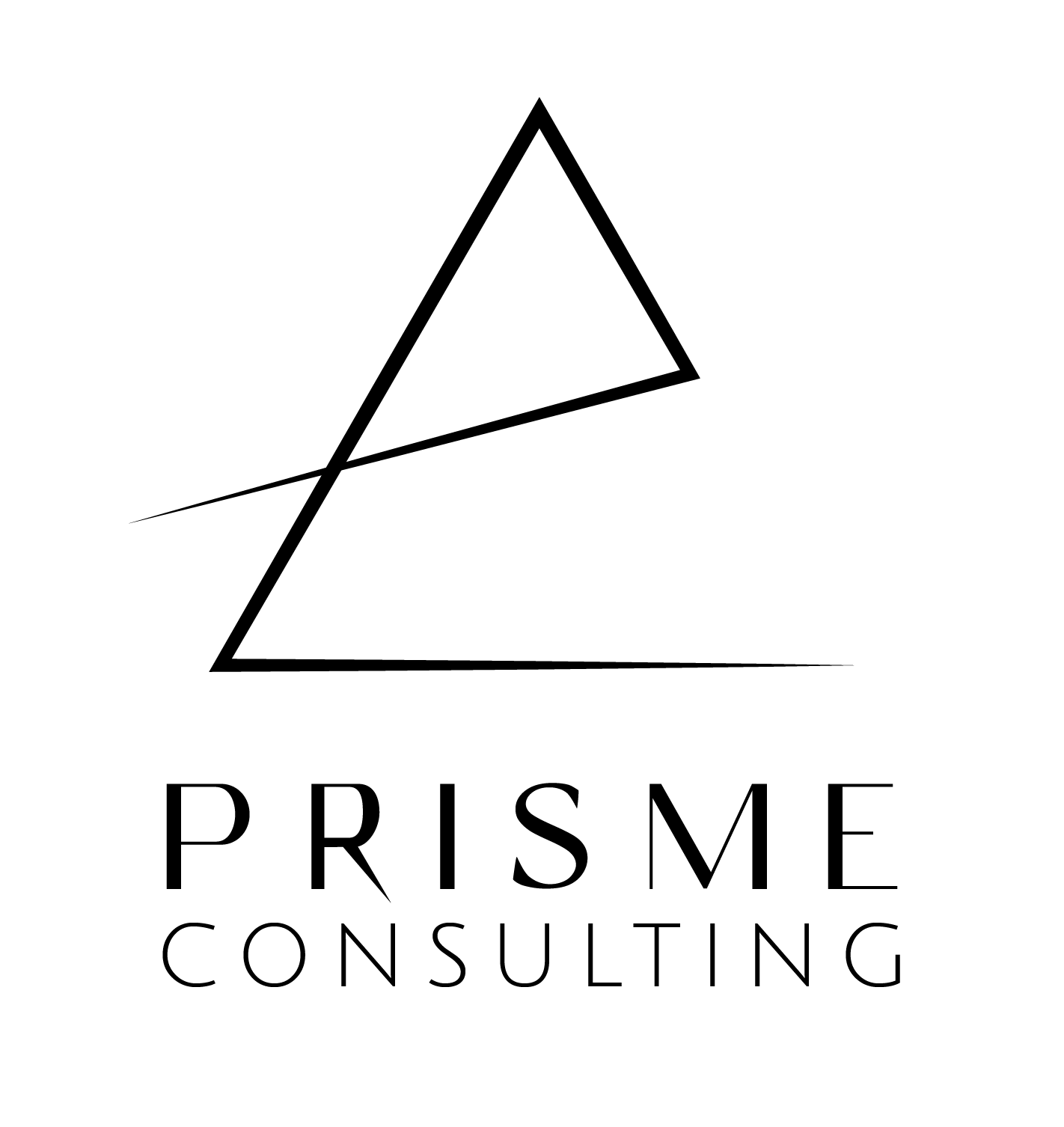 PRISME CONSULTING logo