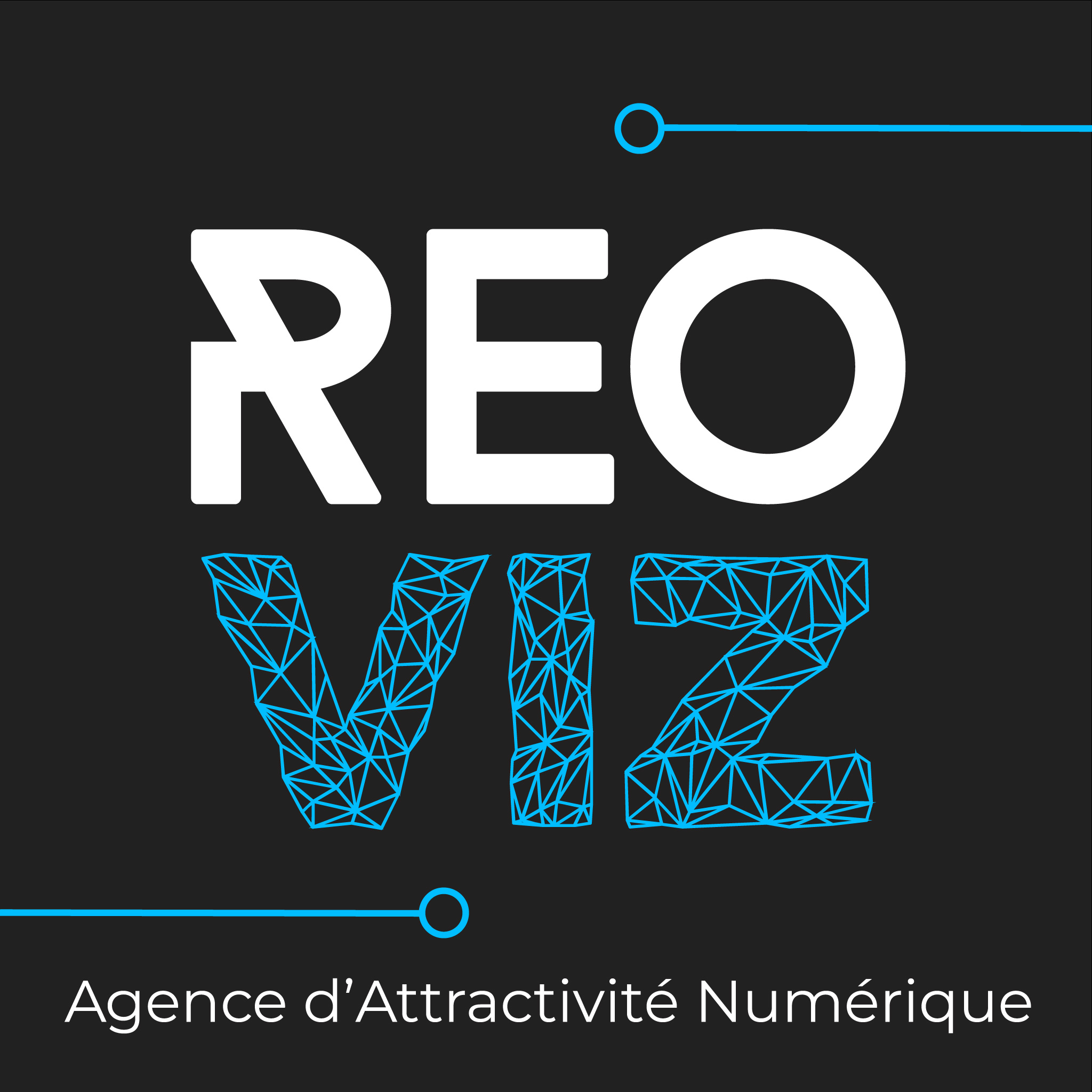 REOVIZ logo