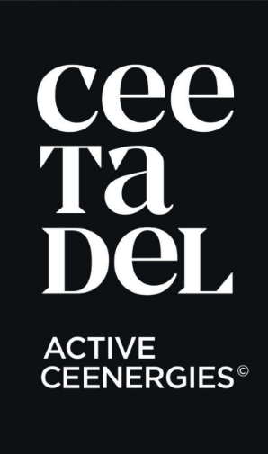 Ceetadel logo